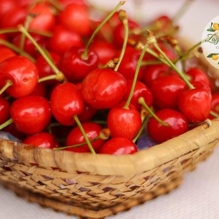 Zagare E Limoni Lejlighed Ostuni Eksteriør billede